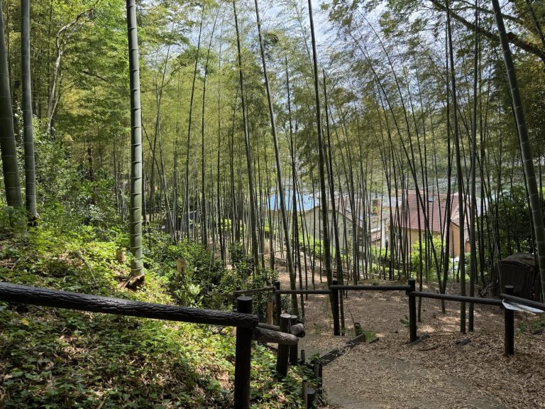 城攻め：小机城